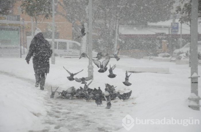 Bu kış sert geçmeyecek