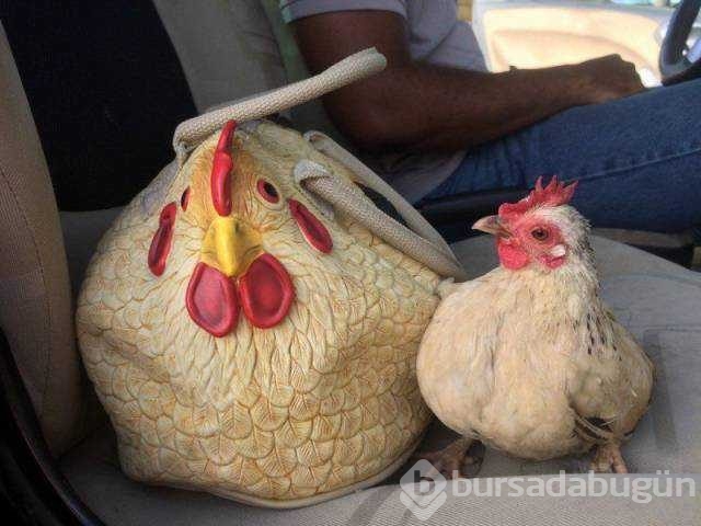 Günün en çok paylaşılan fotoğrafları