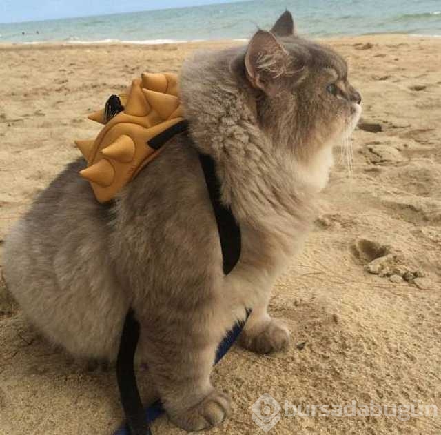 Günün en çok paylaşılan fotoğrafları