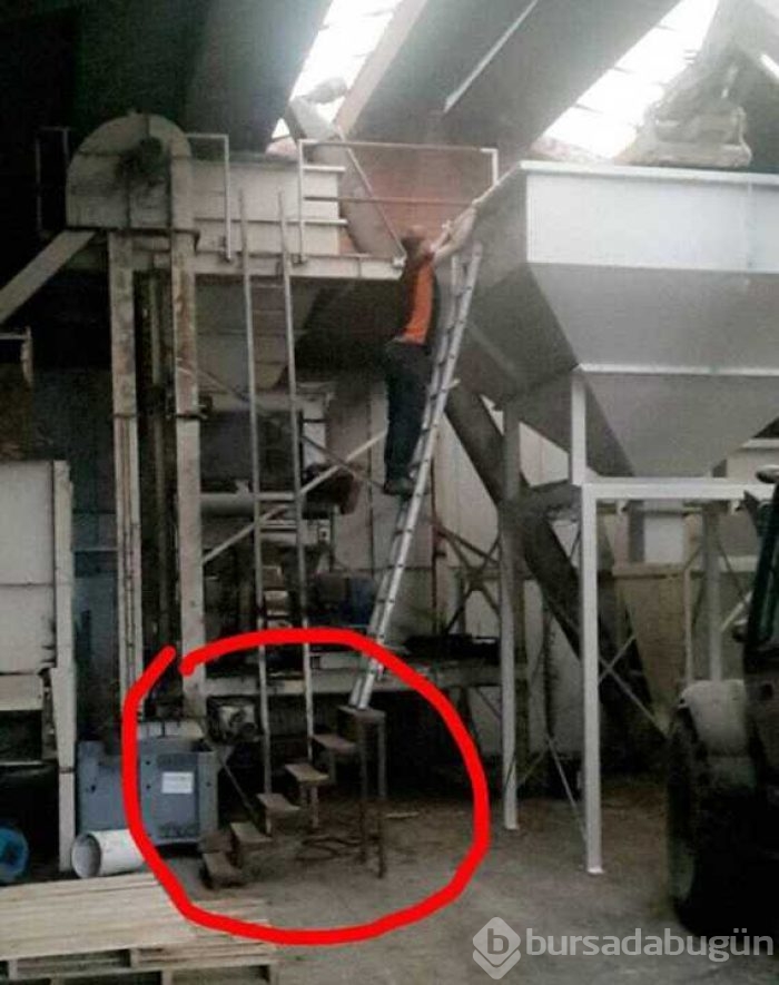 Günün en çok paylaşılan fotoğrafları