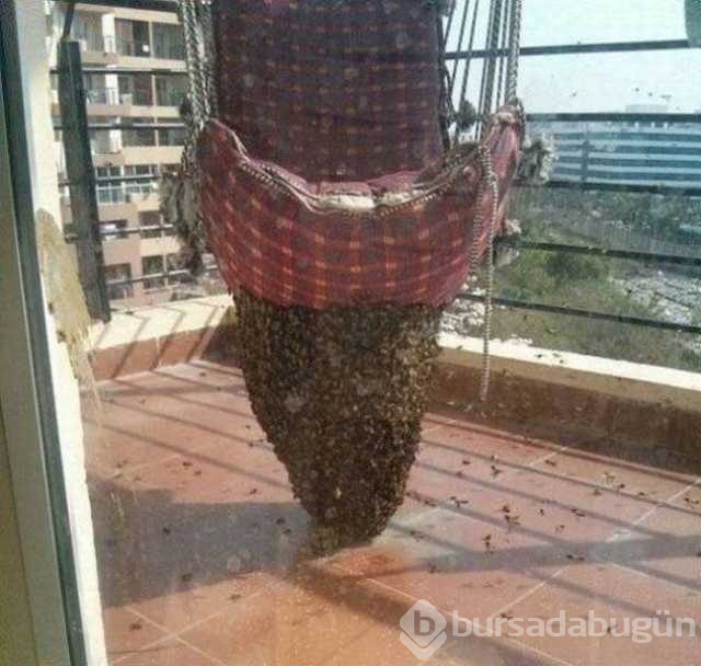 Günün en çok paylaşılan fotoğrafları