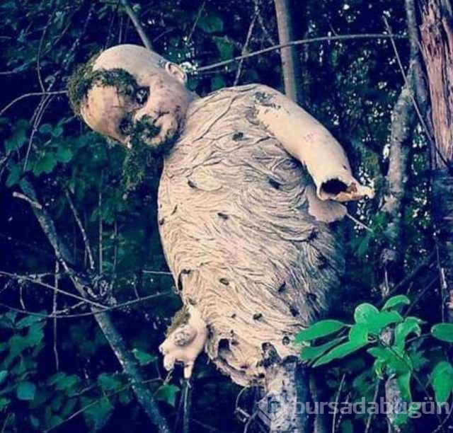Günün en çok paylaşılan fotoğrafları