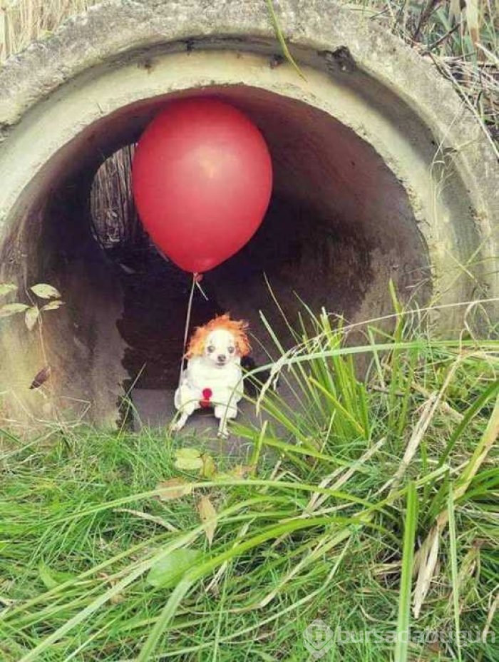 Günün en çok paylaşılan fotoğrafları