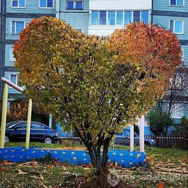 Günün en çok paylaşılan fotoğrafları