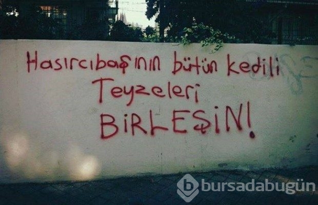 İlginç duvar yazıları