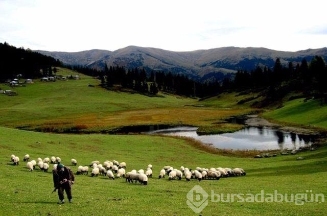 Türkiye'nin en güzel yerleri
