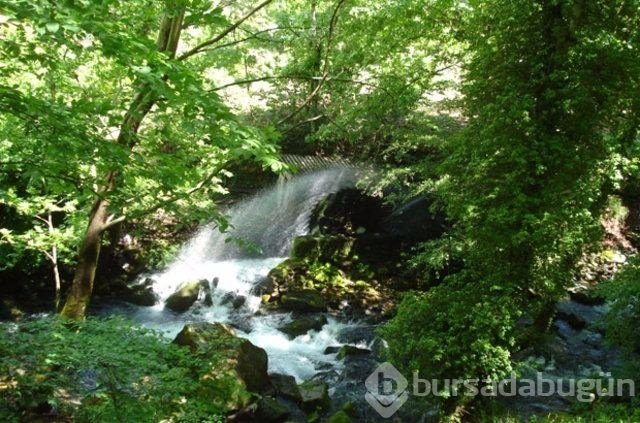 Türkiye'nin en güzel yerleri