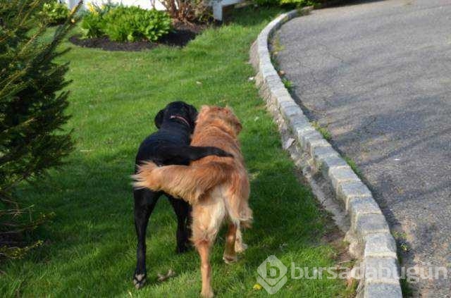 Mutluluğun yüzlere yansıyan en masum hali