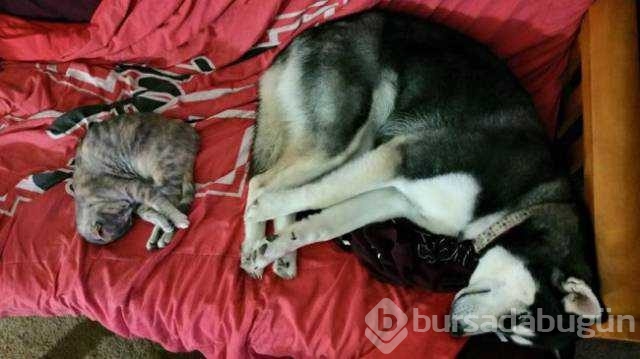 Mutluluğun yüzlere yansıyan en masum hali