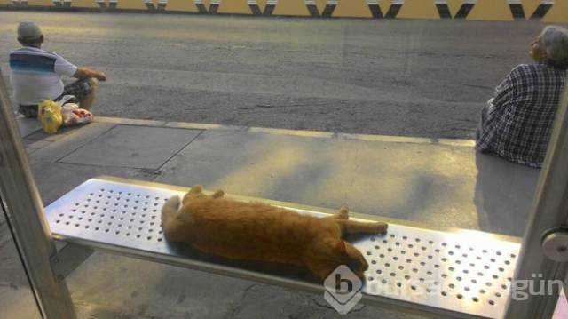 Mutluluğun yüzlere yansıyan en masum hali