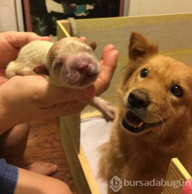 Mutluluğun yüzlere yansıyan en masum hali