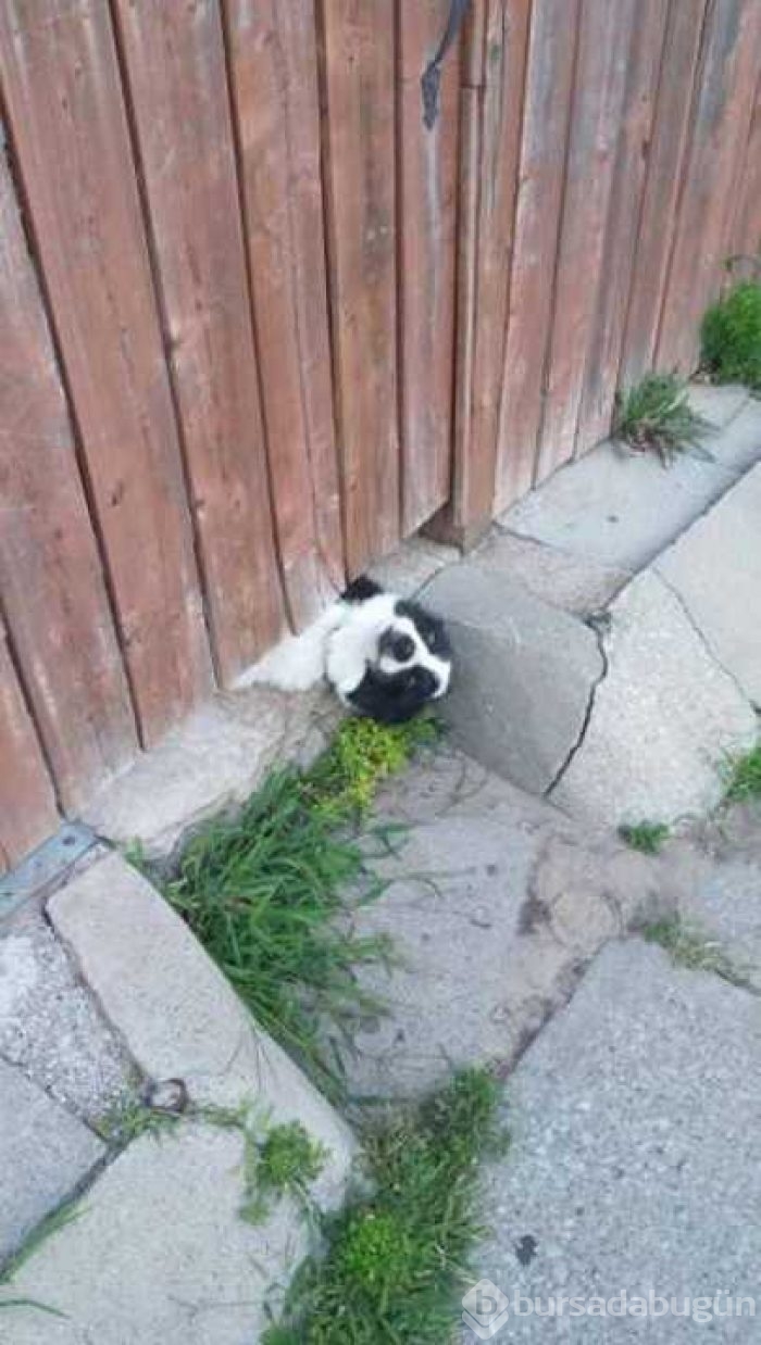 Mutluluğun yüzlere yansıyan en masum hali