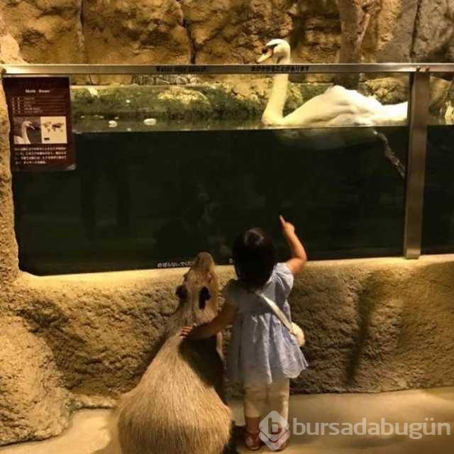 Mutluluğun yüzlere yansıyan en masum hali