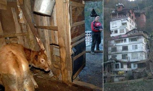 Yurdum insanı iş başında