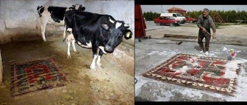 Yurdum insanı iş başında