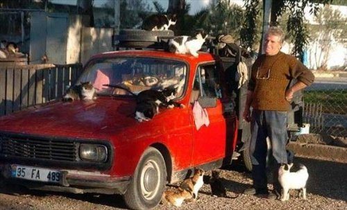 Yurdum insanı iş başında