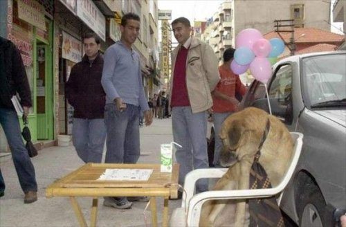 Yurdum insanı iş başında