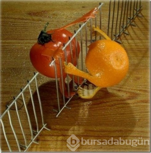 Fantastik meyveler
