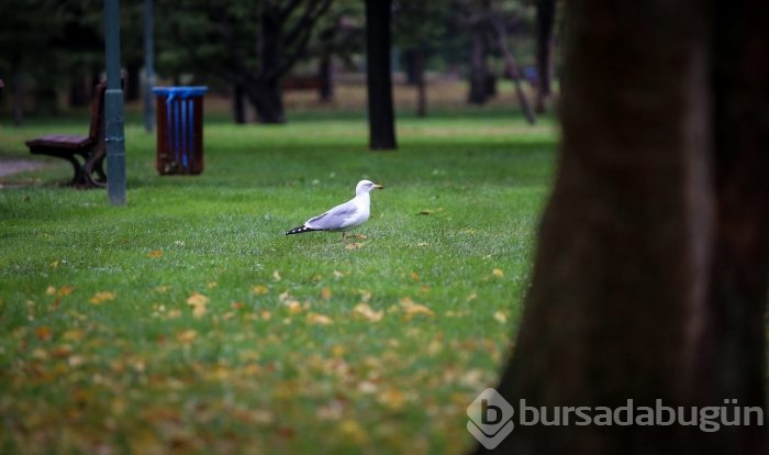 Bursa'da sonbahar!