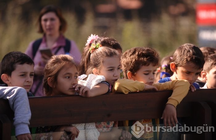 Bursa hayvanat bahçesinin gözdesi penguen ve foklar	