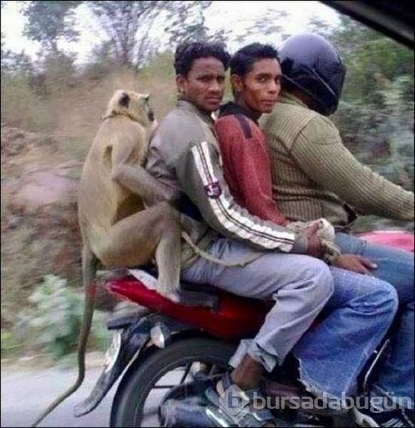 Sadece Hindistan'da göreceğiniz kareler