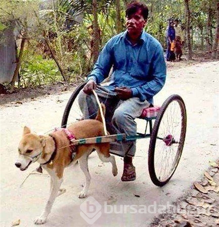 Sadece Hindistan'da göreceğiniz kareler