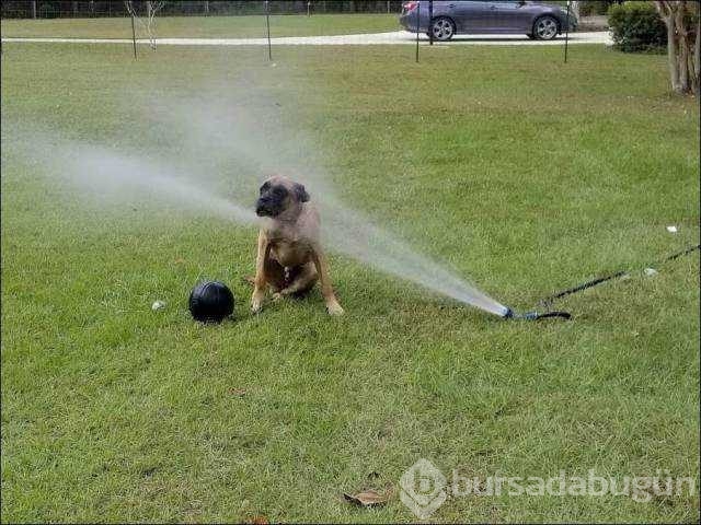Günün en çok paylaşılan fotoğrafları