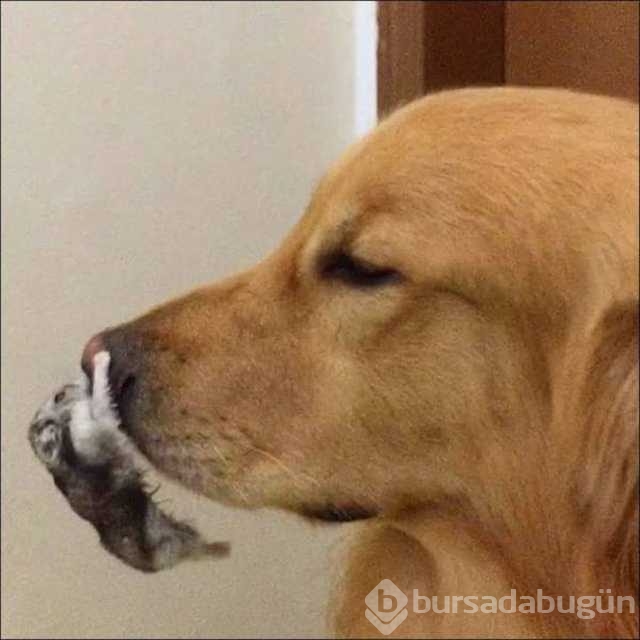 Günün en çok paylaşılan fotoğrafları