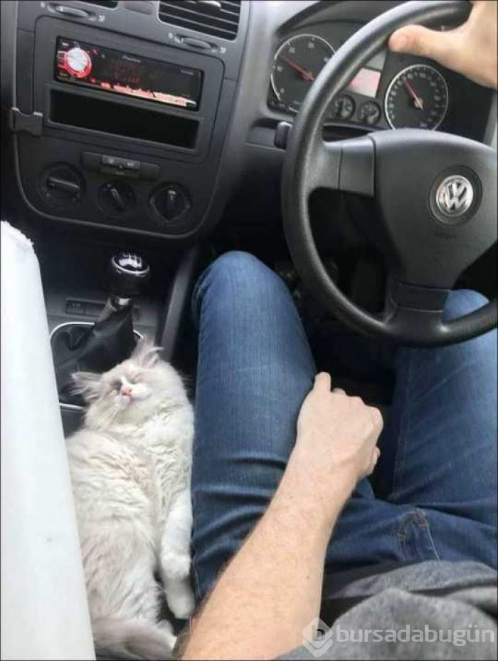 Günün en çok paylaşılan fotoğrafları