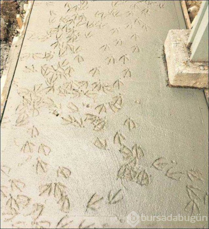 Günün en çok paylaşılan fotoğrafları