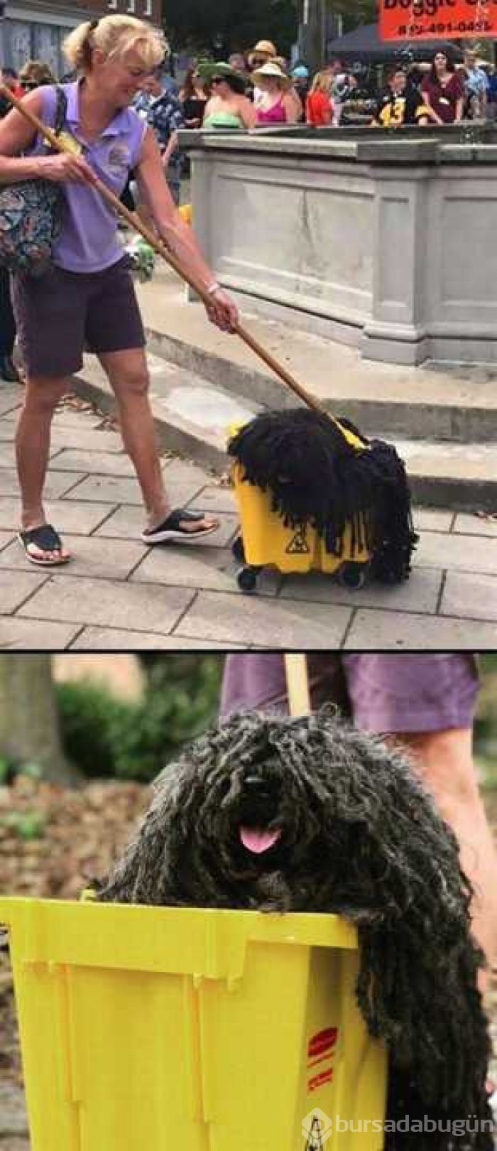 Günün en çok paylaşılan fotoğrafları