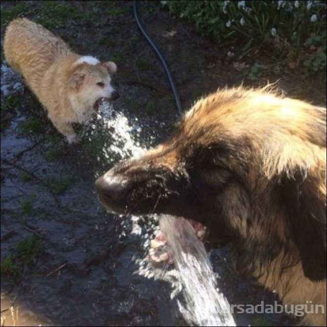 Günün en çok paylaşılan fotoğrafları