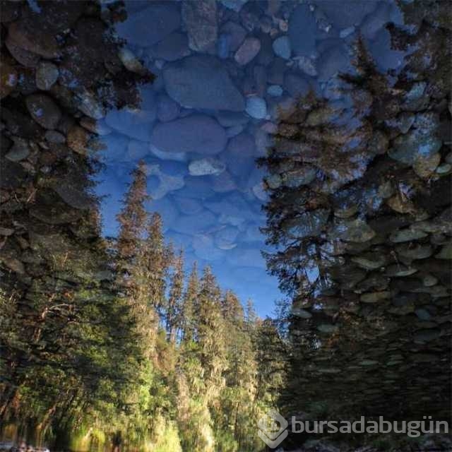 Günün en çok paylaşılan fotoğrafları