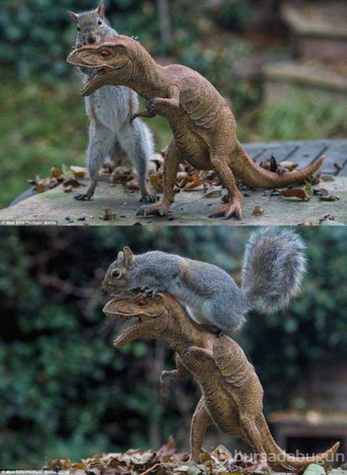 Günün en çok paylaşılan fotoğrafları