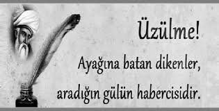 Mevlana sözleri