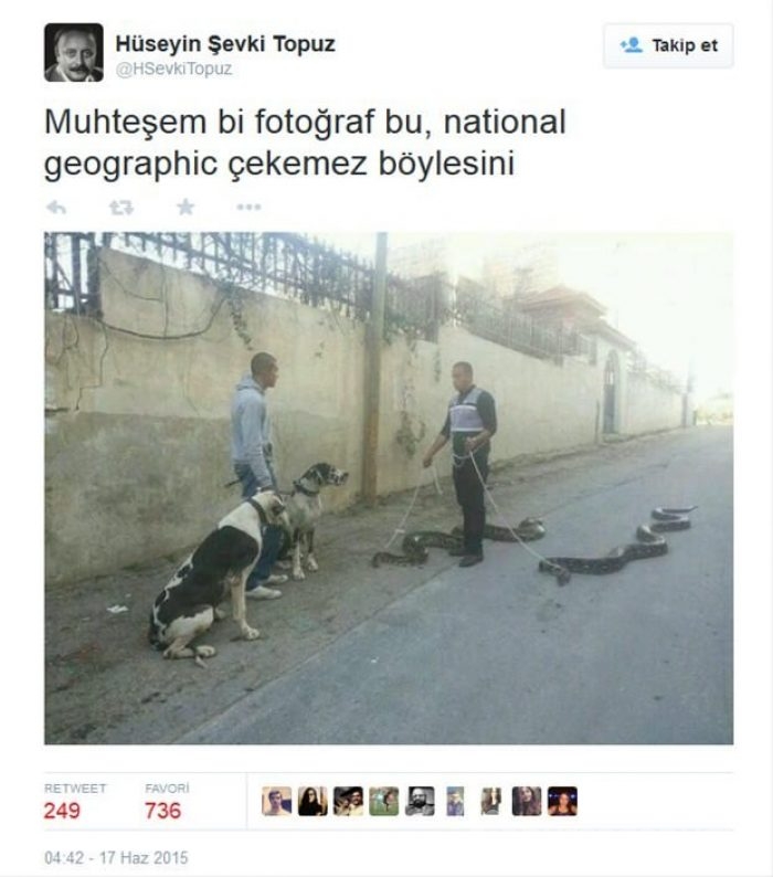 Sosyal medyayı sallayan tespitler!