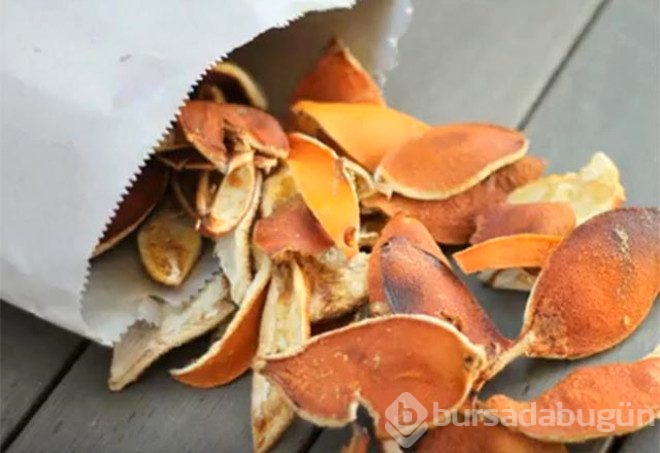 Mandalina kabuklarını çöpe atmayın