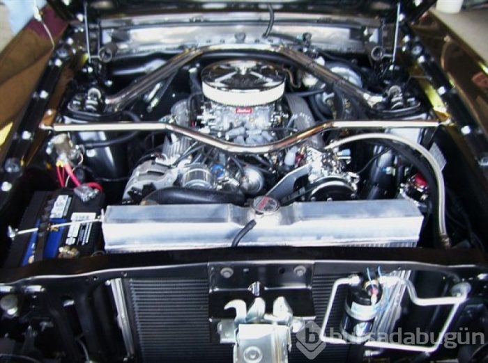 Hurdalığa atılan Mustang'ı yeniden yarattı