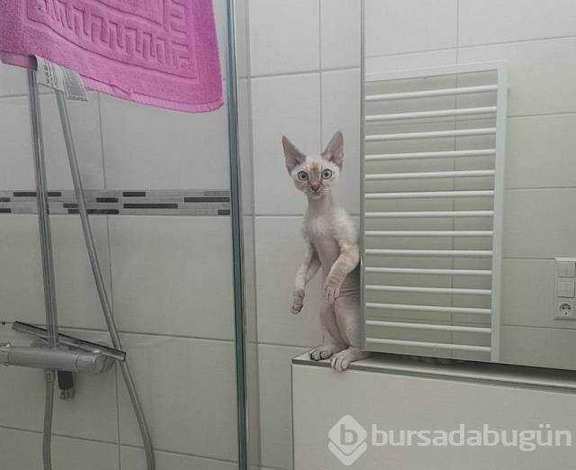 Günün en çok paylaşılan fotoğrafları