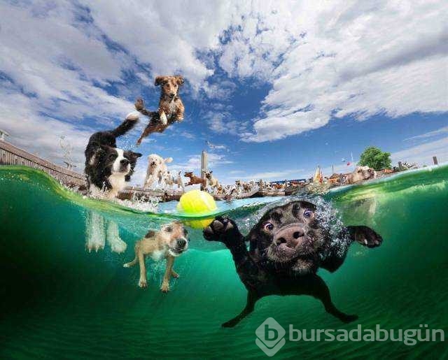 Günün en çok paylaşılan fotoğrafları