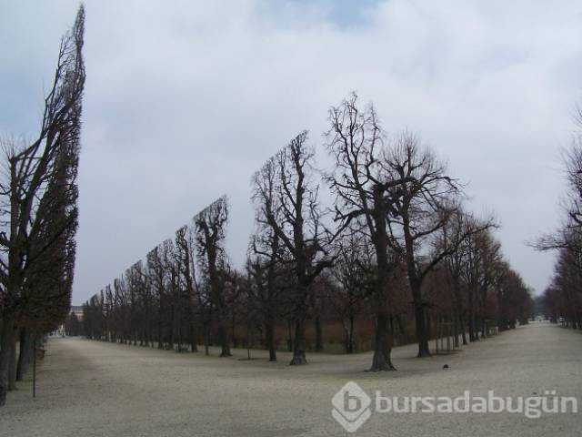 Günün en çok paylaşılan fotoğrafları