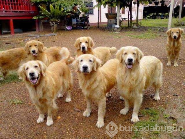 Günün en çok paylaşılan fotoğrafları