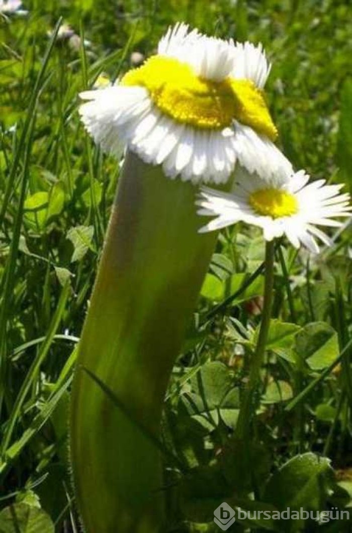 Günün en çok paylaşılan fotoğrafları