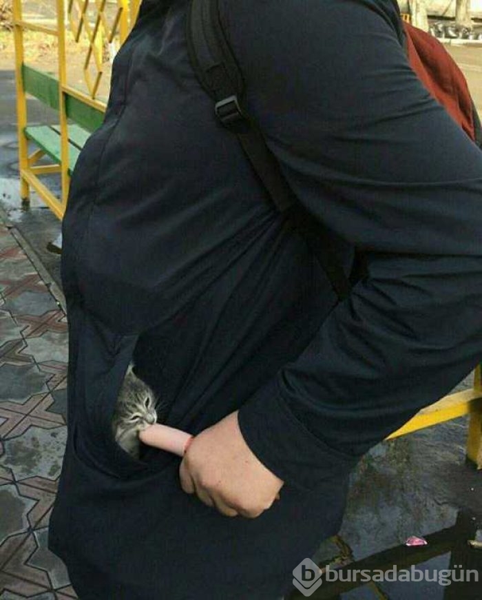 Günün en çok paylaşılan fotoğrafları