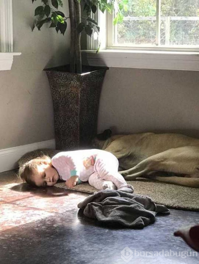 Günün en çok paylaşılan fotoğrafları