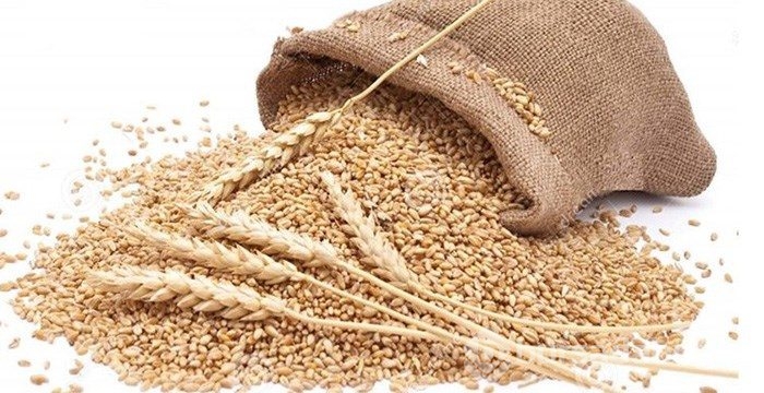 En sağlıklı 50 besin