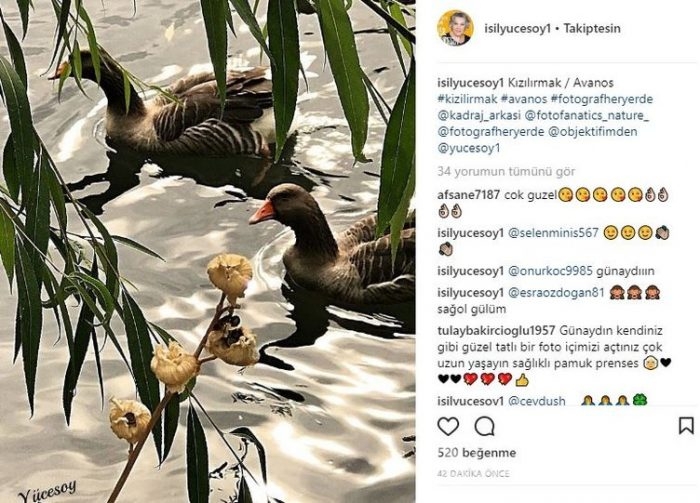 Ünlülerin instagram paylaşımları (31.10.2017)