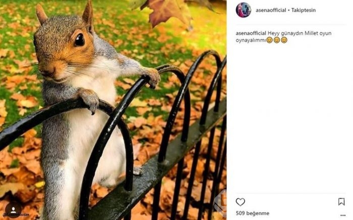 Ünlülerin instagram paylaşımları (31.10.2017)