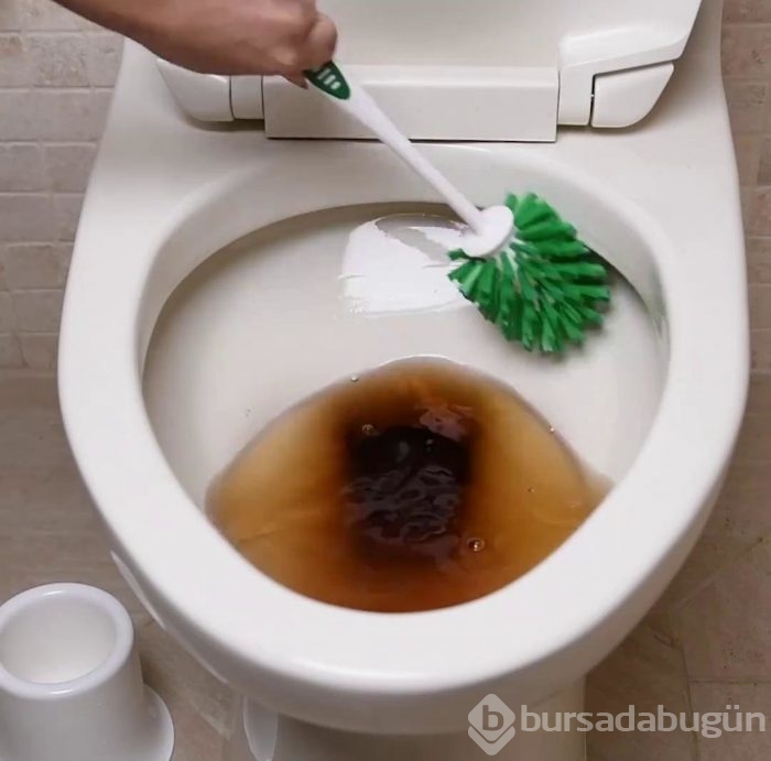 Kolanın kullanım alanları