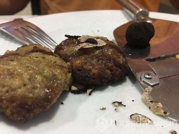 Dünyanın en pahalı mantarı böyle toplanıyor